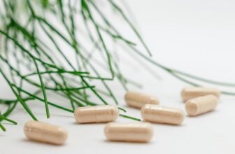 ayurvedic supplements promote holistic health