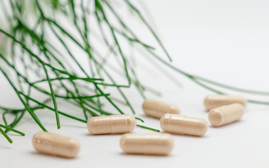 ayurvedic supplements promote holistic health